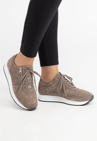 funkelnder Sneaker Veloursleder dunkeltaupe